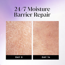 Moisture barrier repair results panels: Day 0 and Day 14.