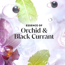 Body wash essence graphic with orchid & black currant, leaf shapes and bubbles