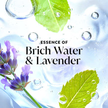 Birch water and lavender essence splash graphic with leaves and bubbles