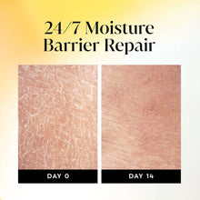 Moisture barrier repair chart comparing day 0 vs day 14 skin texture