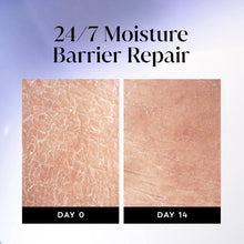 Two skin panels labeled Day 0 and Day 14 for moisture barrier repair
