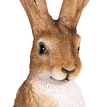 Ornamental hare figurine head close-up, tan fur, white muzzle, long upright ears