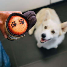 Coffee cup plush dog toy with paw-logo patch, held by a dog
