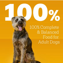 100% complete & balanced adult dog food with gray dog