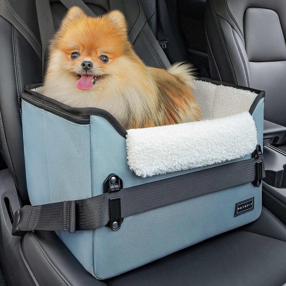 PETSFIT Pet Booster Car Seat for Small Dogs, Puppy Stable Car Seat for Car with Clip-On Leash,Up to 25lbs，Black - USA MEGA SHOP