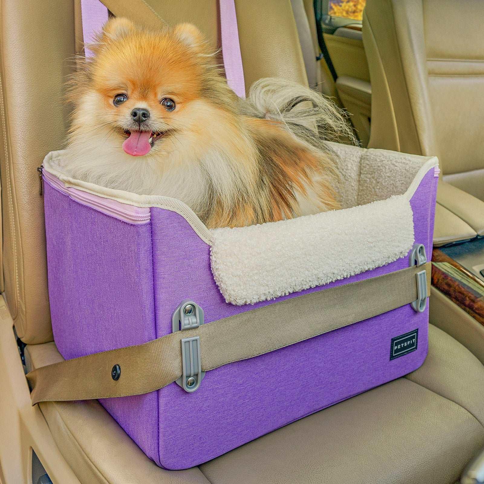 PETSFIT Pet Booster Car Seat for Small Dogs, Puppy Stable Car Seat for Car with Clip-On Leash,Up to 25lbs，Black