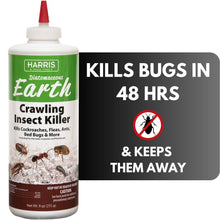 Insect killer powder bottle with green label and red cap, 9 oz size.