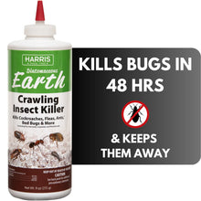 Diatomaceous earth crawling insect killer powder bottle with red cap, front label facing.