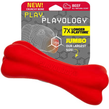 Large red dog toy bone with crunchy texture and beef scent