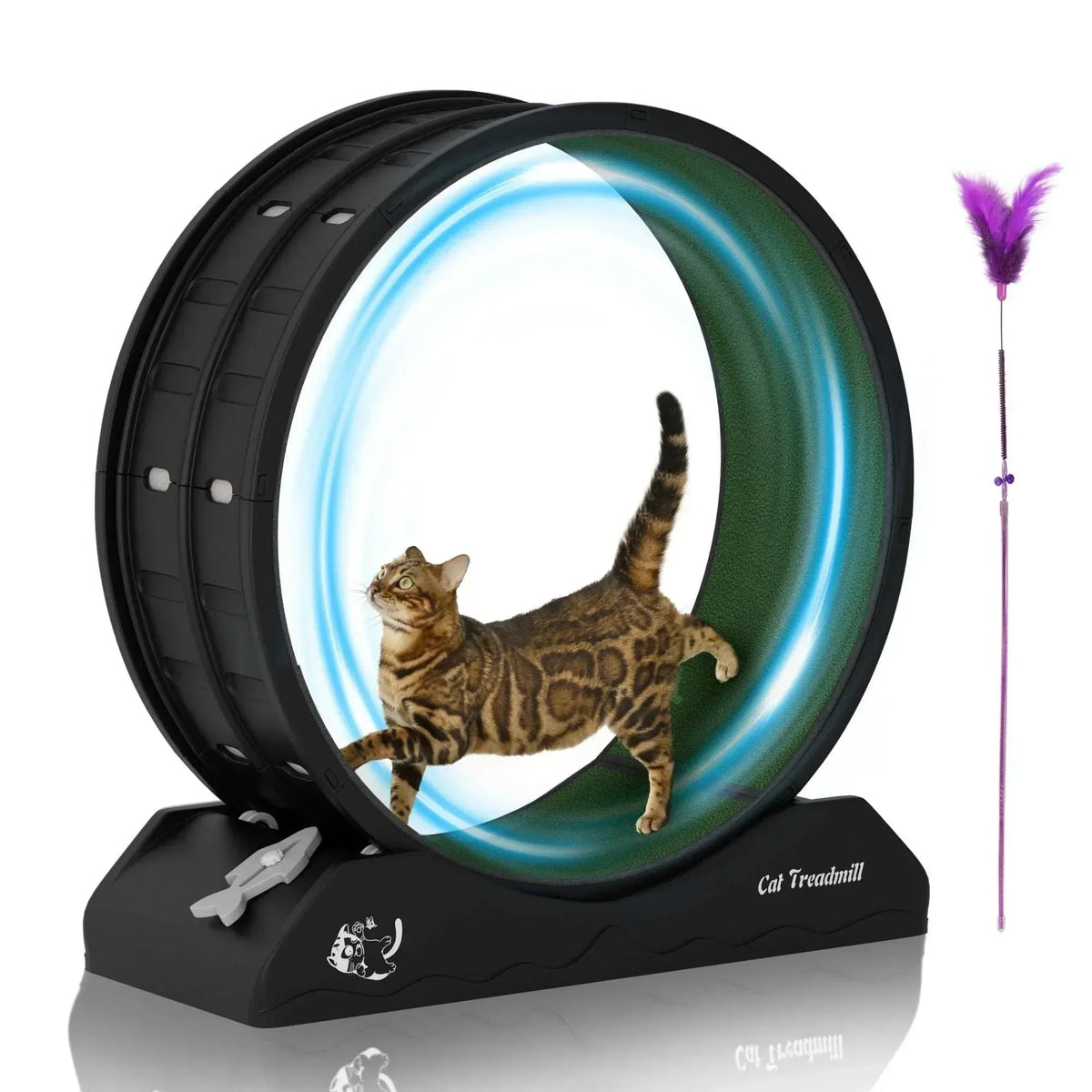 POLAHAKU Cat Exercise Wheel, 31.5'' Cat Treadmill with Carpeted Runway and Safety Lock,Black