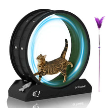 Black cat exercise wheel with green glowing rim, tabby cat inside, purple feather toy