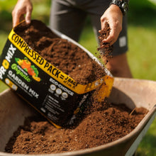 Compressed organic garden mix bag pouring dark soil into garden bed tray.