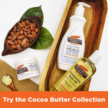 Cocoa butter lotion containers set with jar and pump, plus body oil bottle