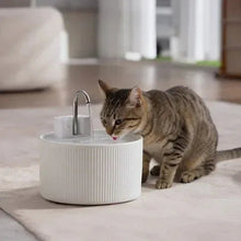 Pet water fountain with faucet and white ribbed base; tabby cat drinking