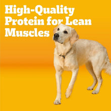 Adult dog food promo card with dog and text about lean muscle protein