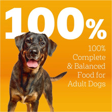 Adult dog food promo card with dog and text 100% complete and balanced
