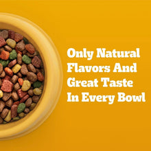 Dog food bowl with mixed kibble and text about natural flavors in every bowl