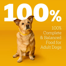 Adult dog wet food 100% complete and balanced food with real-looking dog on yellow label