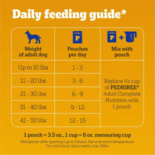 Daily feeding guide chart for adult dogs with pouch amounts per day