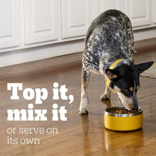 Dog eating chopped ground dinner wet dog food from a yellow bowl on hardwood floor.