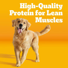 Pedigree Adult dry dog food with high-quality protein for lean muscles