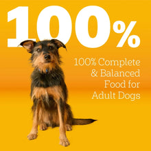 Pedigree Adult dry dog food, 100% complete and balanced for adult dogs
