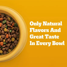 Dry dog food bowl with colorful kibble and text about natural flavors and taste
