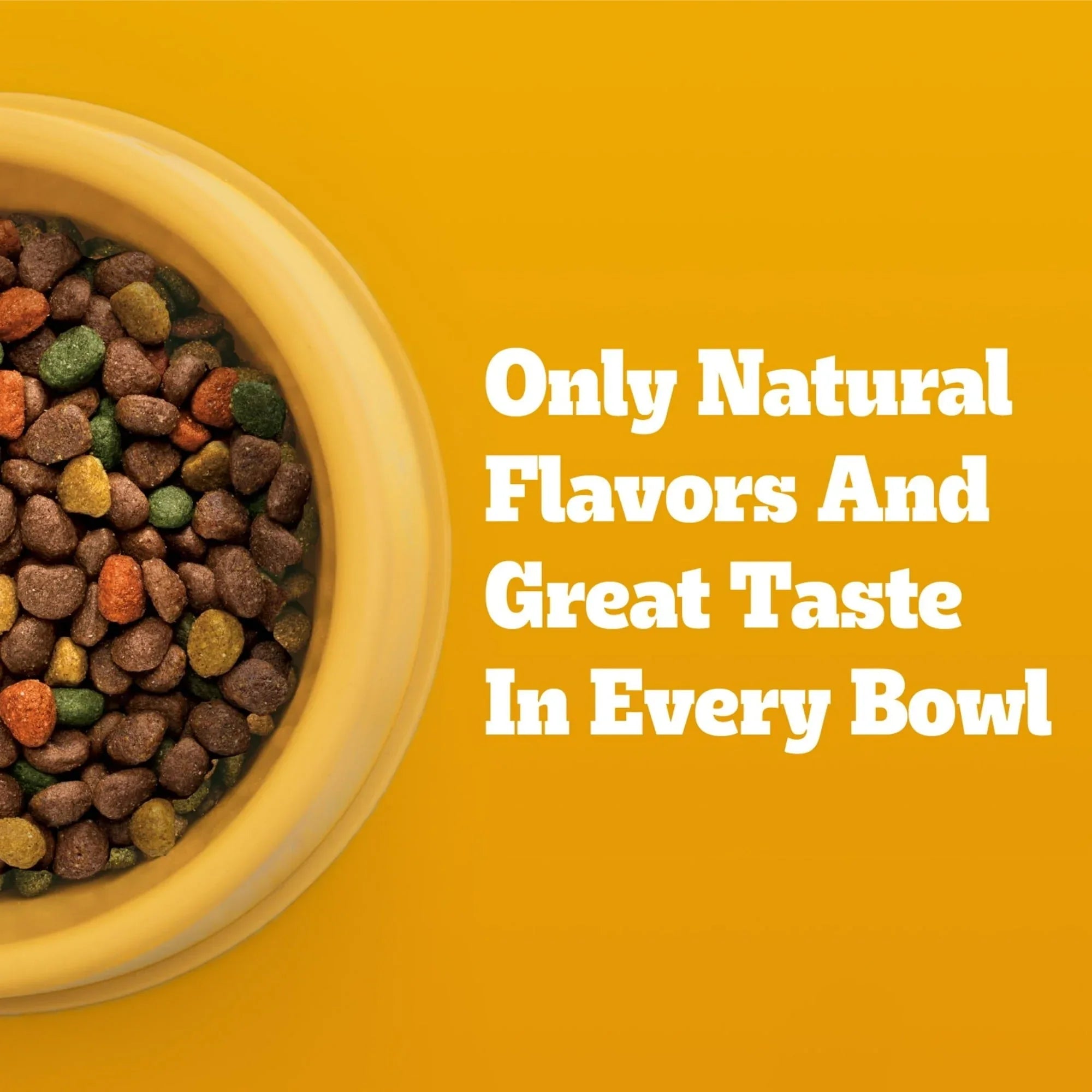 Pedigree Complete Nutrition Adult Dry Dog Food, Roasted Chicken & Vegetable Flavor - USA MEGA SHOP