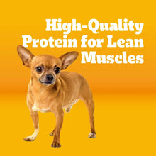 Pedigree small dog dry food, high-quality protein for lean muscles label