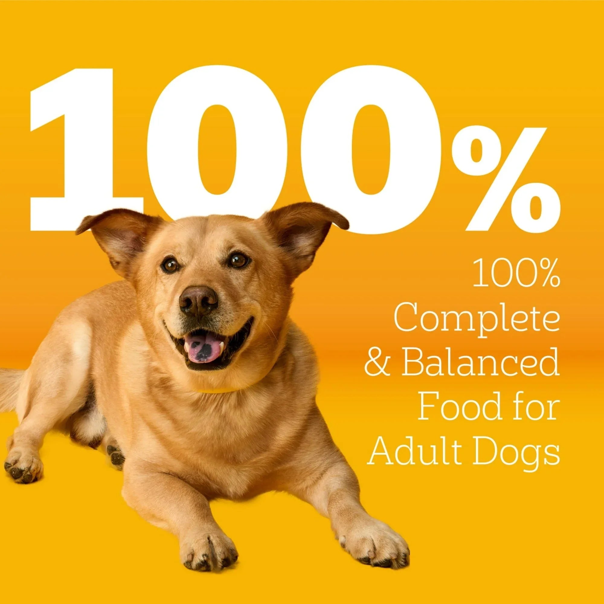 Pedigree Adult Small Dog Dry Dog Food, Roasted Chicken and Vegetable Flavor - USA MEGA SHOP