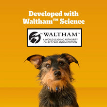 Dog treat pouch front with Waltham Science text and small terrier face