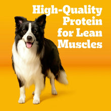 Adult dog graphic with high-protein message for dog food
