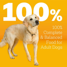 Adult dog graphic with 100% complete and balanced food label