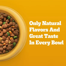 Bowl of dry dog food kibble with "Only Natural Flavors" text