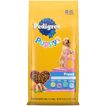 Front view of Pedigree Puppy dry dog food bag with puppy and kibble photo