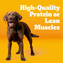 Adult dog food promo with dark brown dog and text about protein or lean muscles