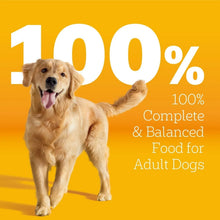 Adult dog food promo with golden dog and text: 100% complete and balanced for adult dogs