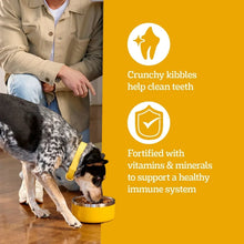 Dog eating dry kibble from a bowl with icons for clean teeth and immune support