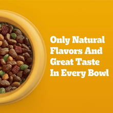 Dry dog kibble graphic: only natural flavors and great taste in every bowl