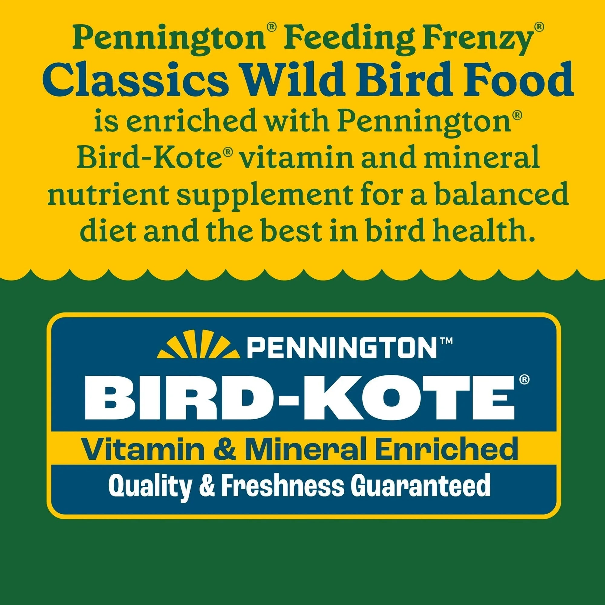 Pennington Classic Dry Wild Bird Feed and Wild Bird Seed, 1 Pack - USA MEGA SHOP