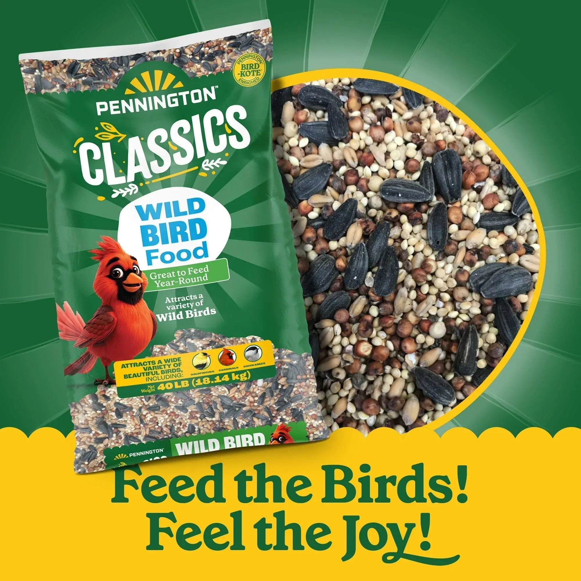 Pennington Classic Dry Wild Bird Feed and Wild Bird Seed, 1 Pack