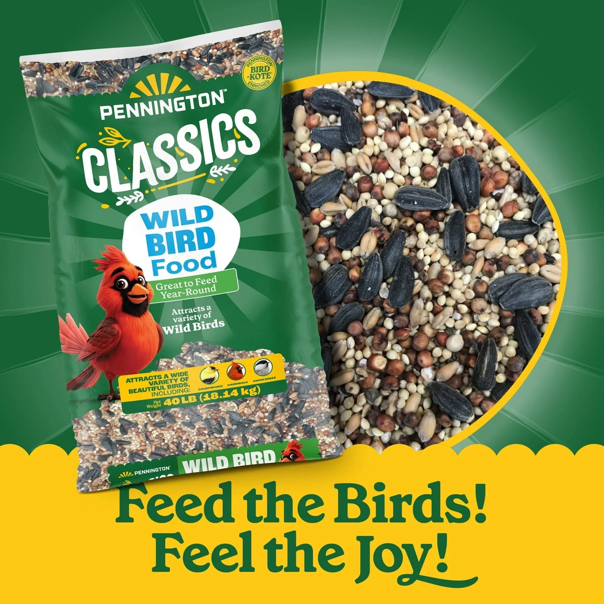 Pennington Classic Dry Wild Bird Feed and Wild Bird Seed, 1 Pack - USA MEGA SHOP