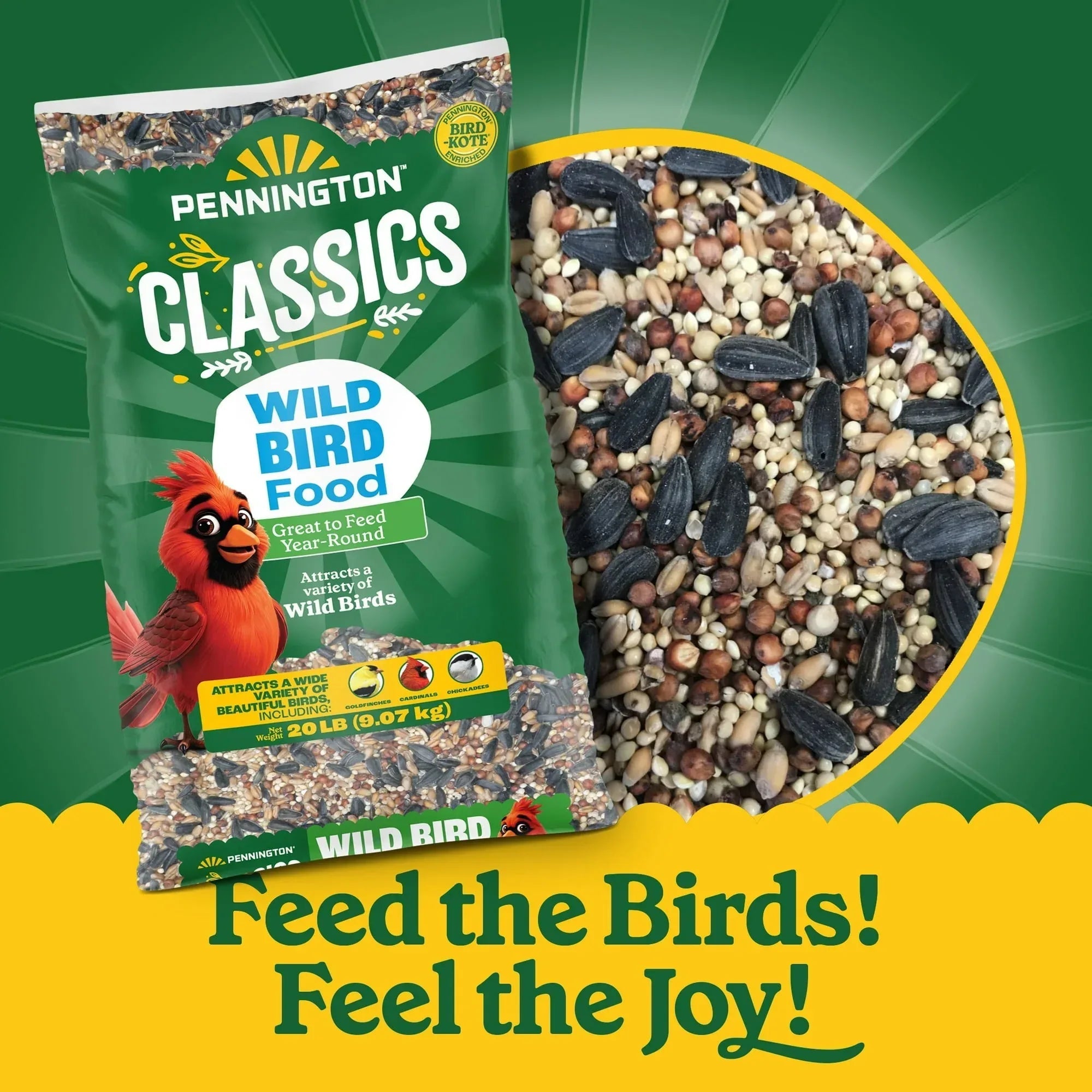 Pennington Classic Dry Wild Bird Feed and Wild Bird Seed, 1 Pack