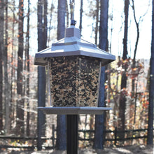 Gray plastic hopper wild bird feeder with seed-filled chamber and hanging cap