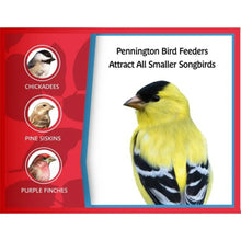 Bird seed bag front panel with small songbird illustration and feeder appeal text