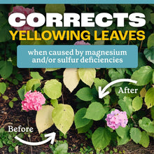 Pennington Epsom Salt bag with yellow-to-green leaf improvement graphic