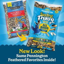 Wild bird seed mix bundle featuring Pennington Feeding Frenzy All Birds bag
