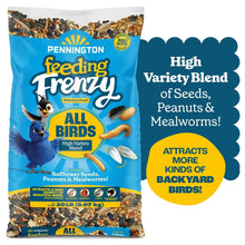 Wild bird seed mix bag front with All Birds label and high variety blend text