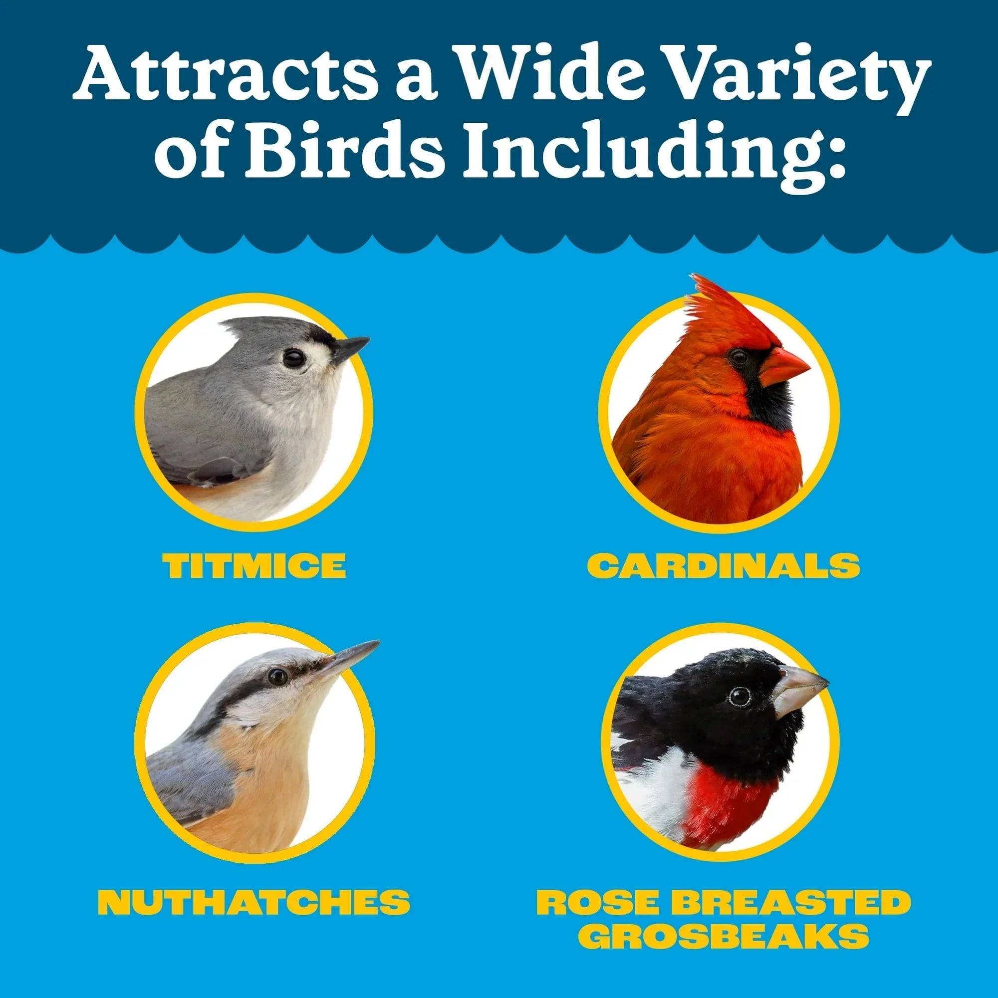 Pennington Feeding Frenzy Wild Bird Seeds, Wild Bird Food Mix - USA MEGA SHOP