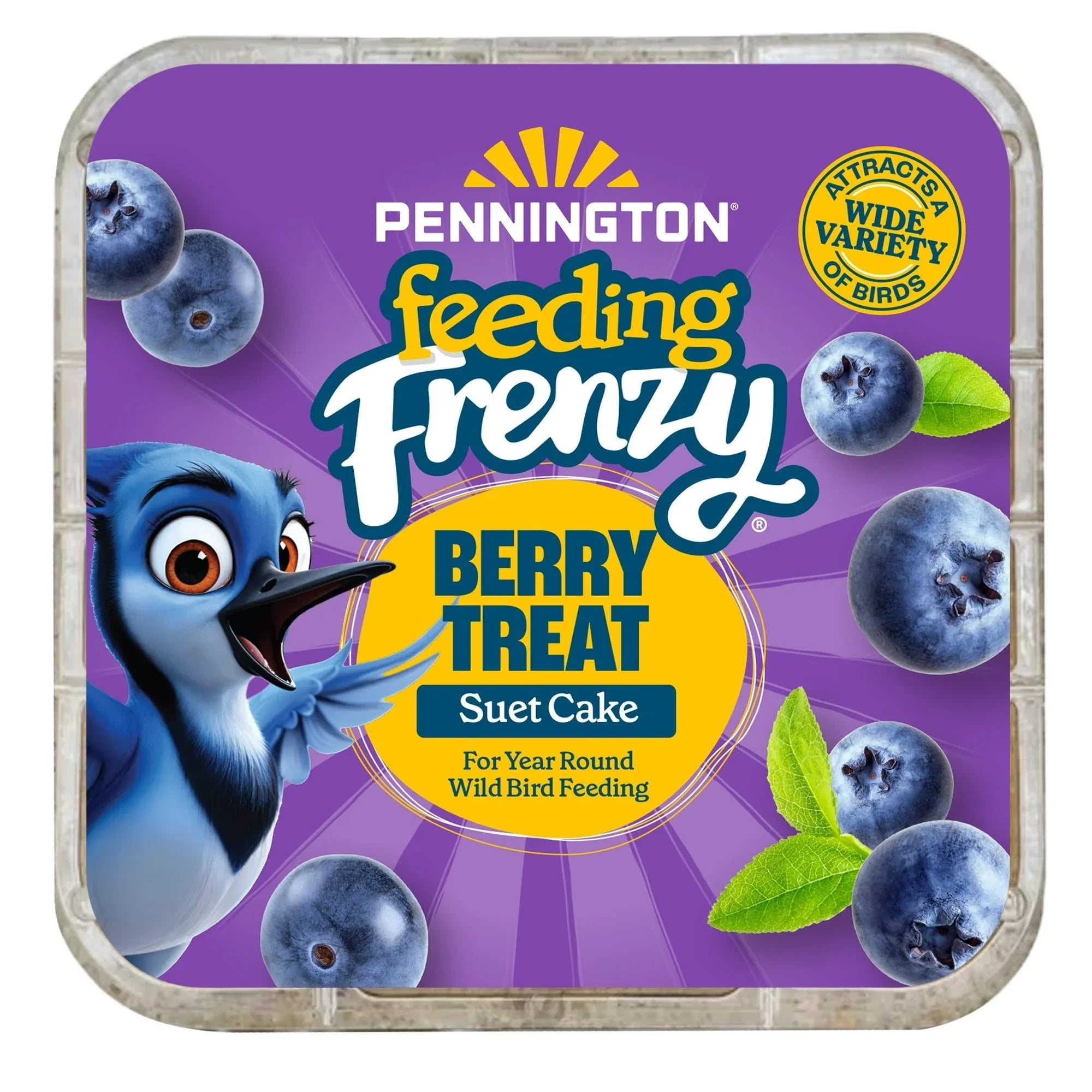 Pennington Feeding Frenzy Berry Treat Suet Cake, 11.75 oz, Suet Cakes for Wild Birds, Wild Bird Food, Fresh - USA MEGA SHOP